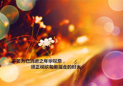 从前不待春风慢：全文+后续（许云毅祝如星）全文免费从前不待春风慢：全文+后续读无弹窗大结局_(从前不待春风慢结局+番外许云毅祝如星免费从前不待春风慢：全文+后续读全文大结局)最新章节列表（从前不待春风慢：全文+后续）