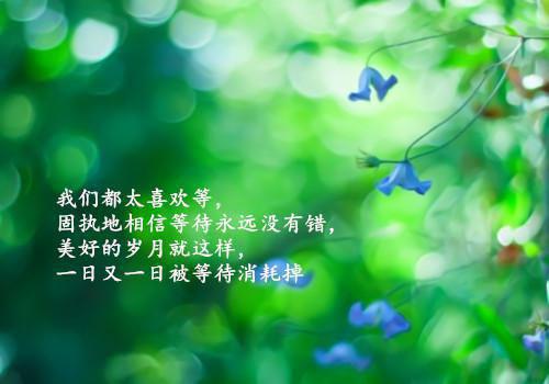 女生唯美句子正能量