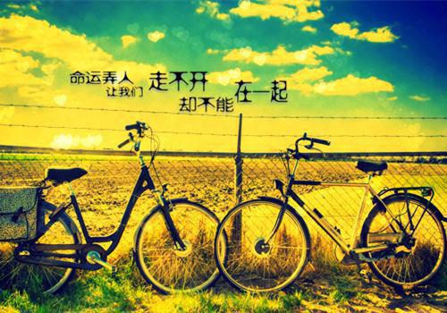 重生后我放弃青梅校花，选择抱紧富婆！（苏醒林轻舟）已完结，重生后我放弃青梅校花，选择抱紧富婆！已完结