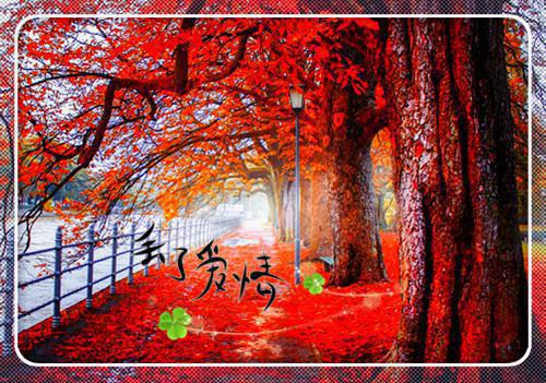 新书热荐宁音鹊纪言廷(宁音鹊纪言廷) 小说（宁音鹊纪言廷）宁音鹊纪言廷完整版免费阅读