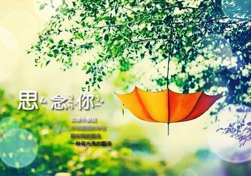 宣布封心锁爱后，我遇上了心动对象在线阅读（洛野苏白粥）全文免费阅读无弹窗大结局_宣布封心锁爱后，我遇上了心动对象免费最新章节列表（洛野苏白粥）