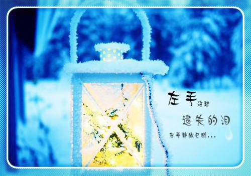 宋溶月沈耀年（宋溶月沈耀年）全文免费阅读无弹窗大结局_（宋溶月沈耀年）宋溶月沈耀年最新章节列表（宋溶月沈耀年）