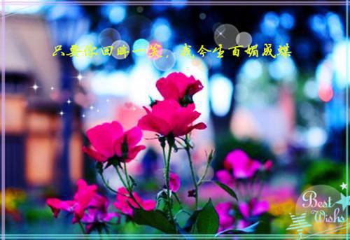 温馨可爱的正能量句子