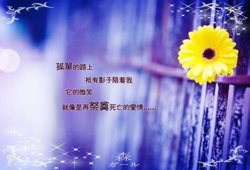 作品逃不掉！又被皇上锁腰宠了全文小说宋若宋煜目录