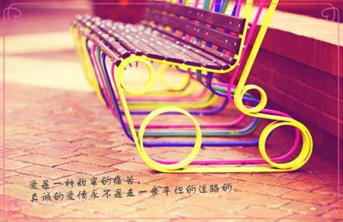 马面钢琴全文小说温母,谢师宴,温父目录