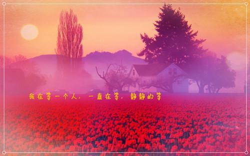 纪清妩程明川(纪清妩程明川小说)全文免费阅读无弹窗大结局_(纪清妩程明川小说免费阅读全文大结局)最新章节列表（纪清妩程明川小说）