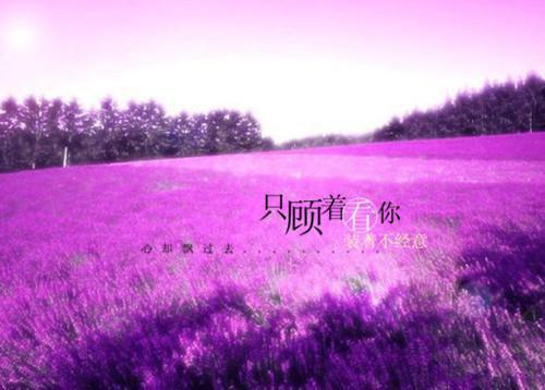 太子自幼与我定情小说阅读(赵寒钰北凉月)全本阅读