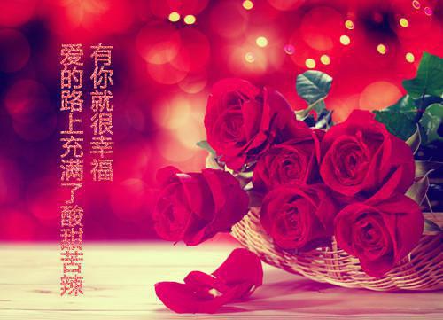 贺云章秦翎贺云章秦翎全文完结版小说阅读