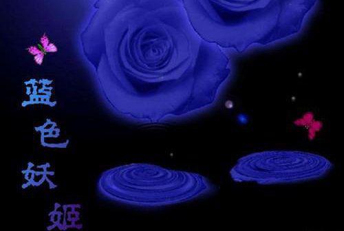 老公，悠着点，你快无敌了全文阅读（陈怡姜羽）最新章节_老公，悠着点，你快无敌了全文阅读