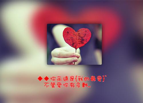 世子爷别跑啊！真千金她真的要宠夫全文阅读（顾惜蓉顾惜灵）最新章节_世子爷别跑啊！真千金她真的要宠夫全文阅读