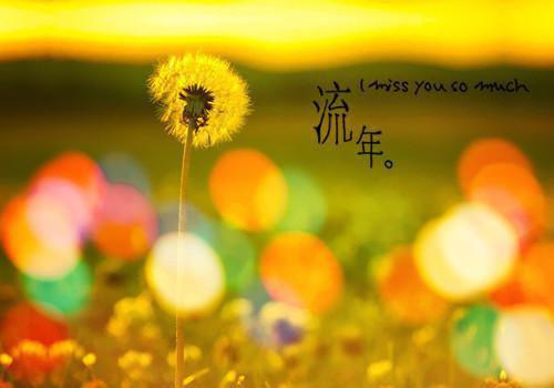 关于爱情的圣经句子英文
