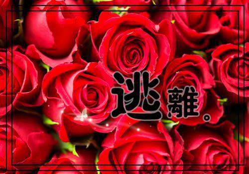 全文小说小师叔请上榻by清新脱俗小郎君阅读