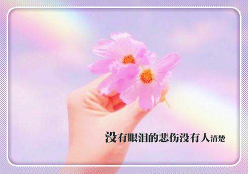全章节小说沈婉如墨轩by沈婉如阅读