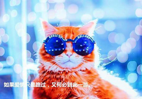 全息：全能奶爸太妖孽朝岁和蔺治小说_全息：全能奶爸太妖孽免费阅读