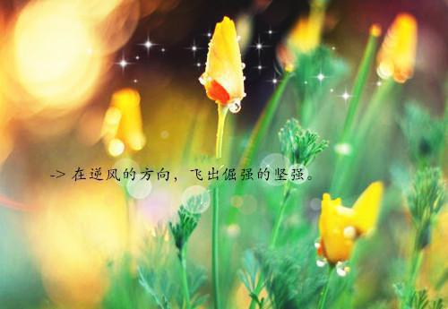 无情挽留小说阅读(杨璟之虞茗)全本阅读