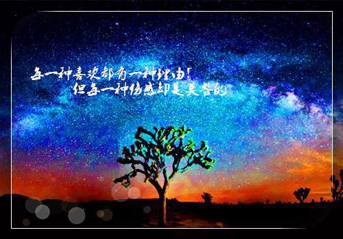 谢聿礼叶柠热门小说（叶柠谢聿礼）全文阅读