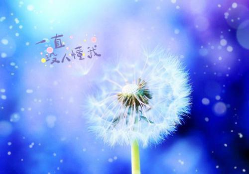曲南屿夏知晴乔言全文免费阅读(语岚复杂）全文免费曲南屿夏知晴乔言读无弹窗大结局_ 小说曲南屿夏知晴乔言免费曲南屿夏知晴乔言读最新章节列表（曲南屿夏知晴乔言）