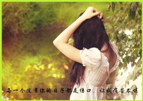 开局觉醒罗睺模板，我以魔道成神「精彩小说」爱逗猫的米娘大结局阅读