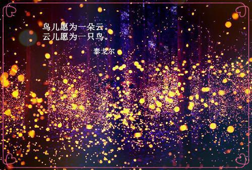 学校勒令你退学，你研究六代战机？叶枫周建军最新章节精彩试读