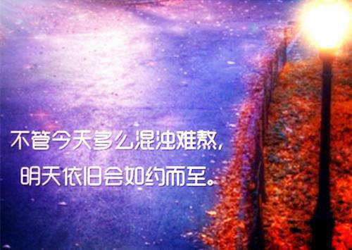 完结文我转身离开后，他后悔了最新章节列表_完结文我转身离开后，他后悔了全文免费阅读（心语季时辰）
