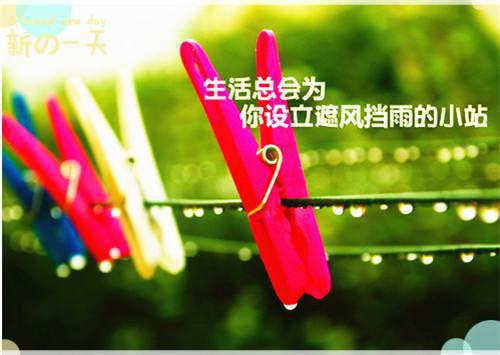 小行星西写的小说林玄清紫霄圣地小说全文浏览全本小说阅读
