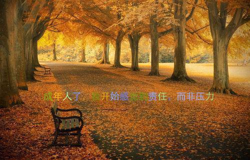 言情全文小说笙笙不回响完结版精彩阅读