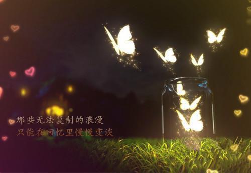 形容不懂挽留爱情的句子