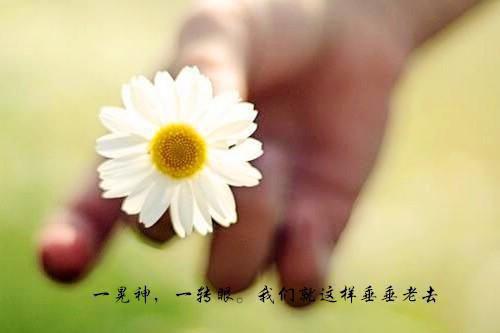 主角为沈辞顾许的小说全文重整绿茶免费阅读