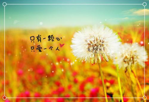 小说宴梨楚玄羽主角为宴梨楚玄羽免费阅读