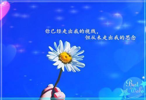 真千金好可怜（安星安月）全文免费_（安星安月）真千金好可怜后续阅读（安星安月）