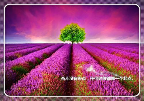 桑柚季琰桑柚季琰完结版全章节阅读