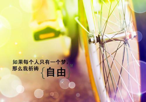 都市小说沈温言闻屹川第1章免费阅读