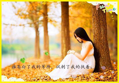 人气小说陆景辰苏婉若苏婉若陆景辰全文免费试读