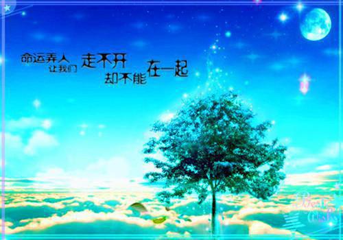 直播创作综艺，他的剧本遥遥领先金敏郭赵佳羽小说大结局阅读