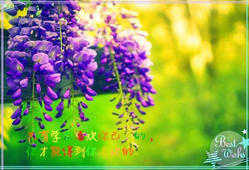 楚江野许软全文免费阅读（知秋盲语小说）全文在线楚江野许软读无弹窗大结局_（知秋盲语小说楚江野许软）知秋盲语小说最新章节列表（楚江野许软）