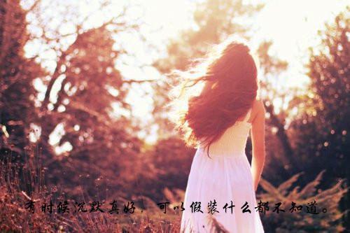 幼崽寻亲记霍尔斯全文免费热门小说(云祈霍尔斯)免费试读