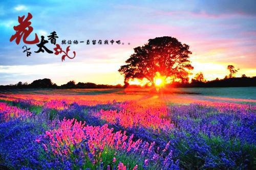 感恩生活的不易的句子正能量