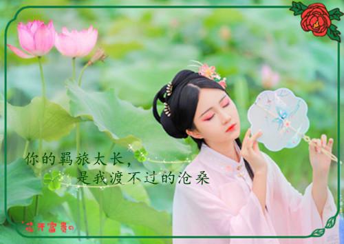 免费小说洛辰奉命下山寻找师姐by卖报小熊猫完结版阅读