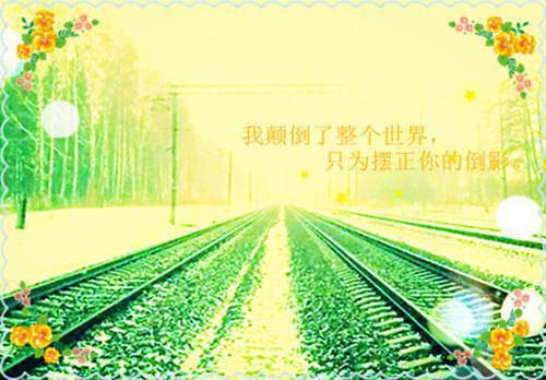 沈宴昭安萌全文免费结局沈宴昭安萌小说大结局阅读