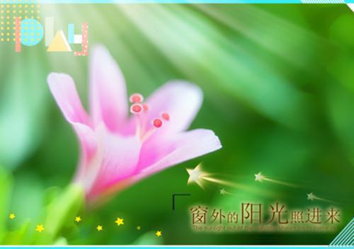 家有奶娃：谁家闺女九岁事业有成啊！孙子多,顾家人,顾老大全本免费小说目录试读