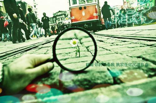 许柏舟奚悦佚名完本在线小说免费阅读
