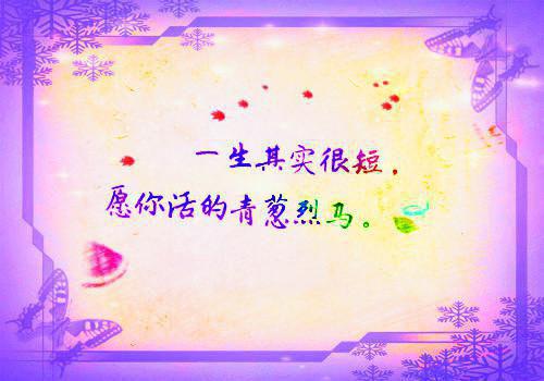 完结版佚名的小说沈尧娜秦凡阅读