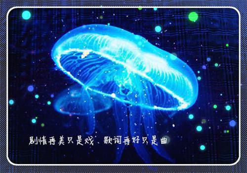 小说月色撩人，霸道小叔夜夜来第2章精选阅读