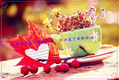 小可纪棉郁承书（妈妈说给我找个新爸爸小说）全文免费小可纪棉郁承书读无弹窗大结局_(妈妈说给我找个新爸爸小说小说免费小可纪棉郁承书读)最新章节列表（小可纪棉郁承书）