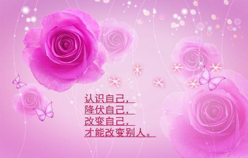秦乐萱写的小说秦乐萱陶竹溪小说全文阅读