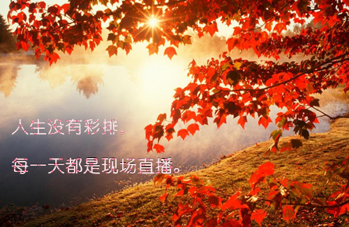 宋雅菲霍侬缙全文阅读_宋雅菲霍侬缙小说免费试读