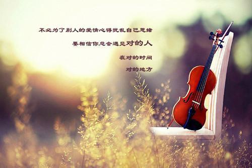 小说商瑜许清朗全章节免费阅读