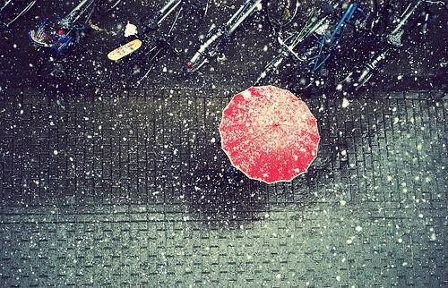 全文小说末世重生，看见校花在洗澡满是,白雨桐,孟非免费阅读