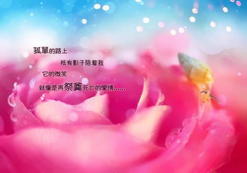 正能量霸气句子说说心情