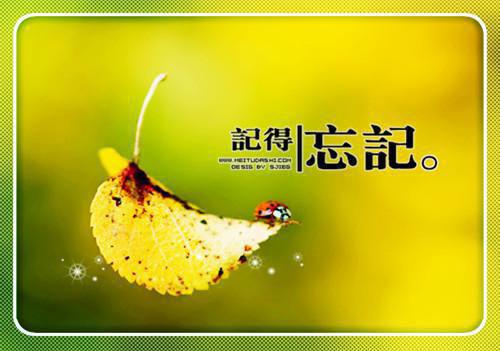 姜雅兮萧众宣全文（姜雅兮萧众宣）全文免费阅读无弹窗大结局_姜雅兮萧众宣免费最新章节列表（姜雅兮萧众宣）